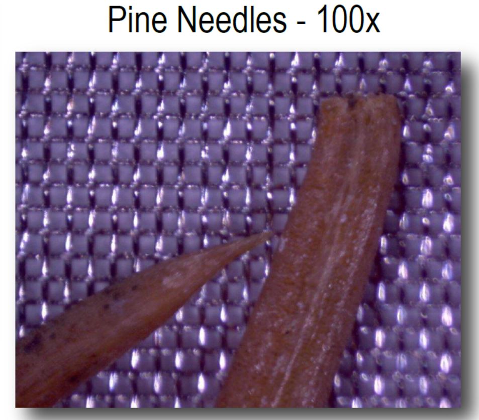 Seattle rainwater harvesting with MasterShield filtration