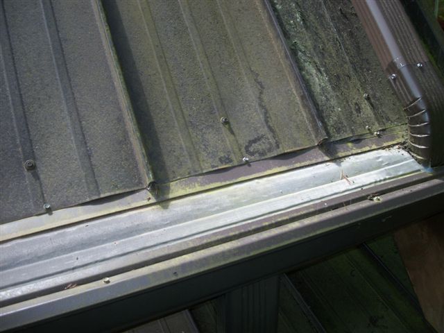 MossEaters is Seattle's trusted gutter protection company—offering lifetime no-clog solutions with MasterShield. Free quote.