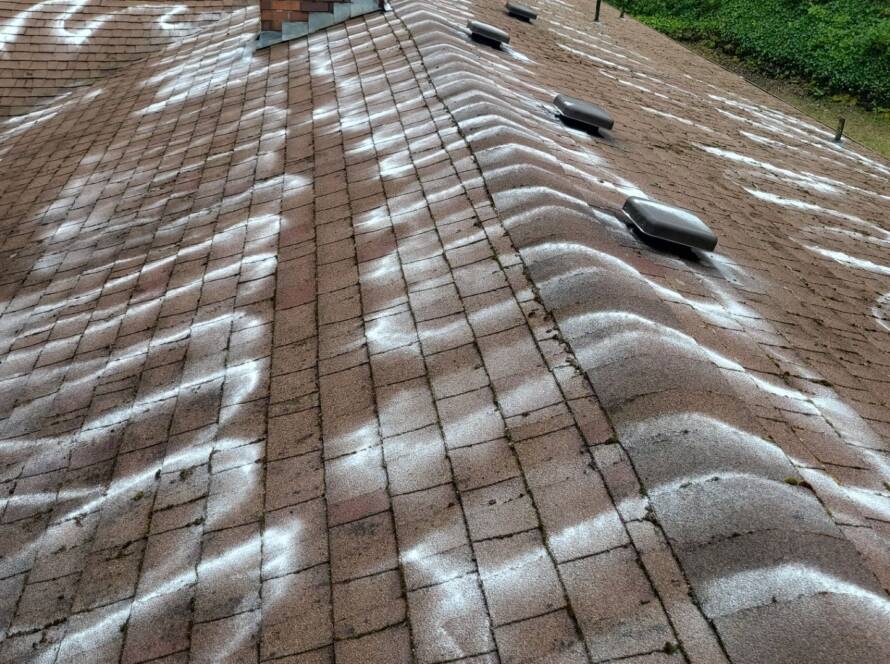 Roof Maintenance